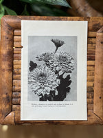 Load image into Gallery viewer, Black and White Floral 23
