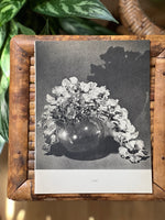 Load image into Gallery viewer, Black and White Floral 18

